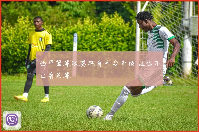 西甲篮球联赛观看平台介绍 让你不止看足球