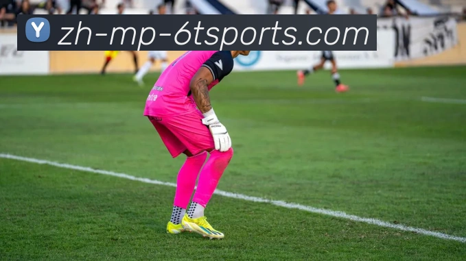 6T体育发展历程